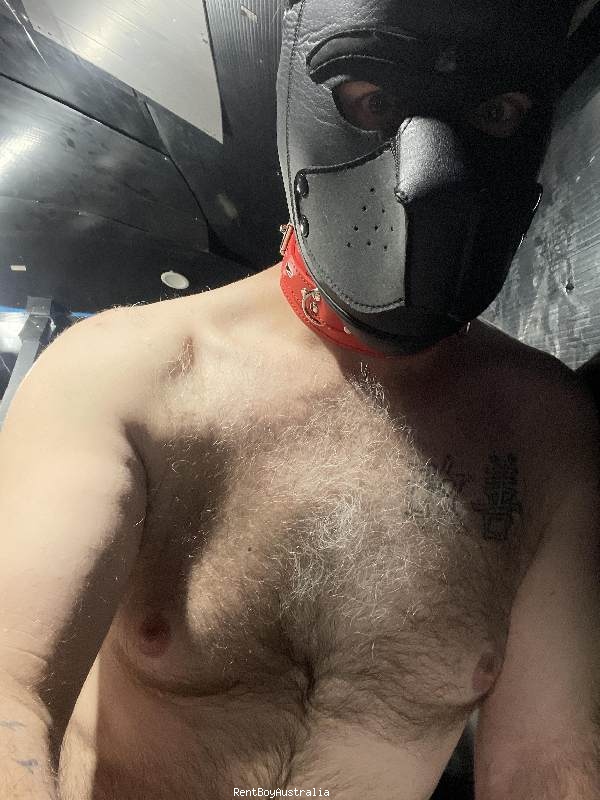 Timothy.James Gay Escort Melbourne 0493966758 RentBoyAustralia.net